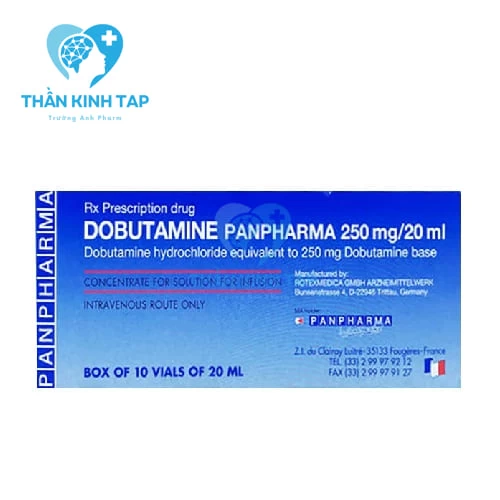 Dobutamine Panpharma 250mg/20ml - Điều trị mất bù tim